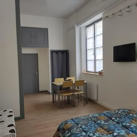 Avec Parking Prive * Saumur